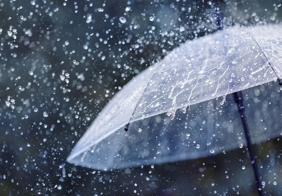 EL INGREDIENTE DE LA SOPA DE LA&nbsp;EXISTENCIA