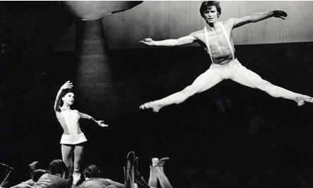 HOGARES DE LA&nbsp;HERMOSURA