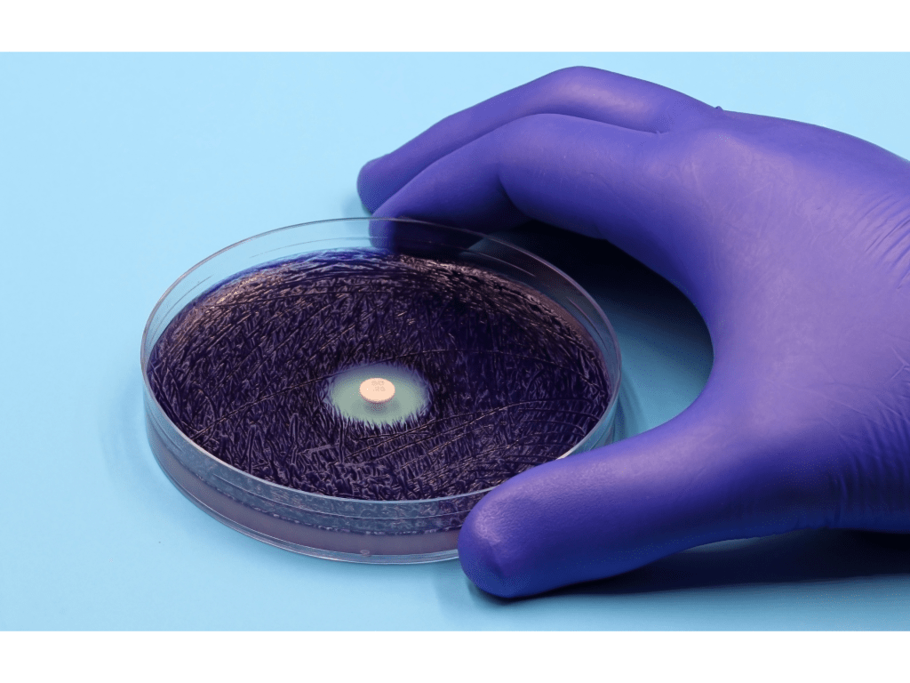 LA CONEXIÓN OCULTA: RESISTENCIA A LOS ANTIBIÓTICOS Y VIRUS EN LOS RASTROS&nbsp;MEXICANOS