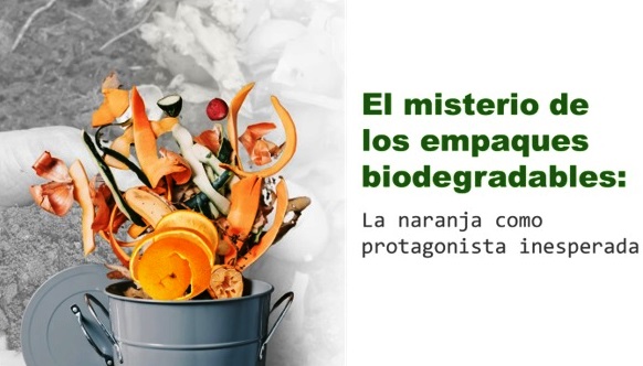 RESIDUOS AL RESCATE DEL&nbsp;PLANETA