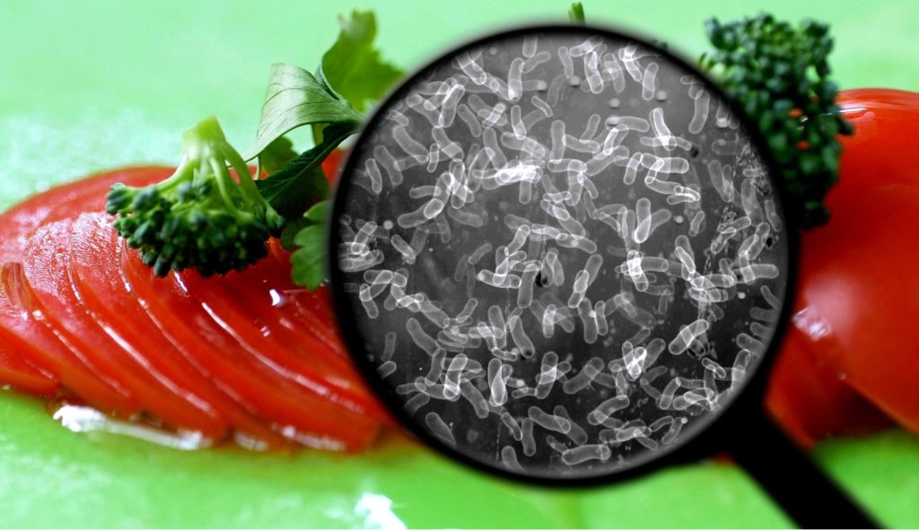 LOS GUARDIANES INVISIBLES: CÓMO LOS MICROBIOS NUTREN NUESTRO MUNDO DESDE LA TIERRA HASTA NUESTRA&nbsp;MESA