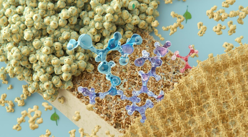 RESIDUOS CON PROPÓSITO: BIOMATERIALES PARA REMOVER CONTAMINANTES DEL&nbsp;AGUA