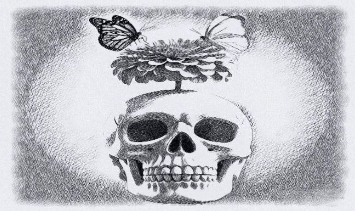 LA METAMORFOSIS DEL&nbsp;ALMA