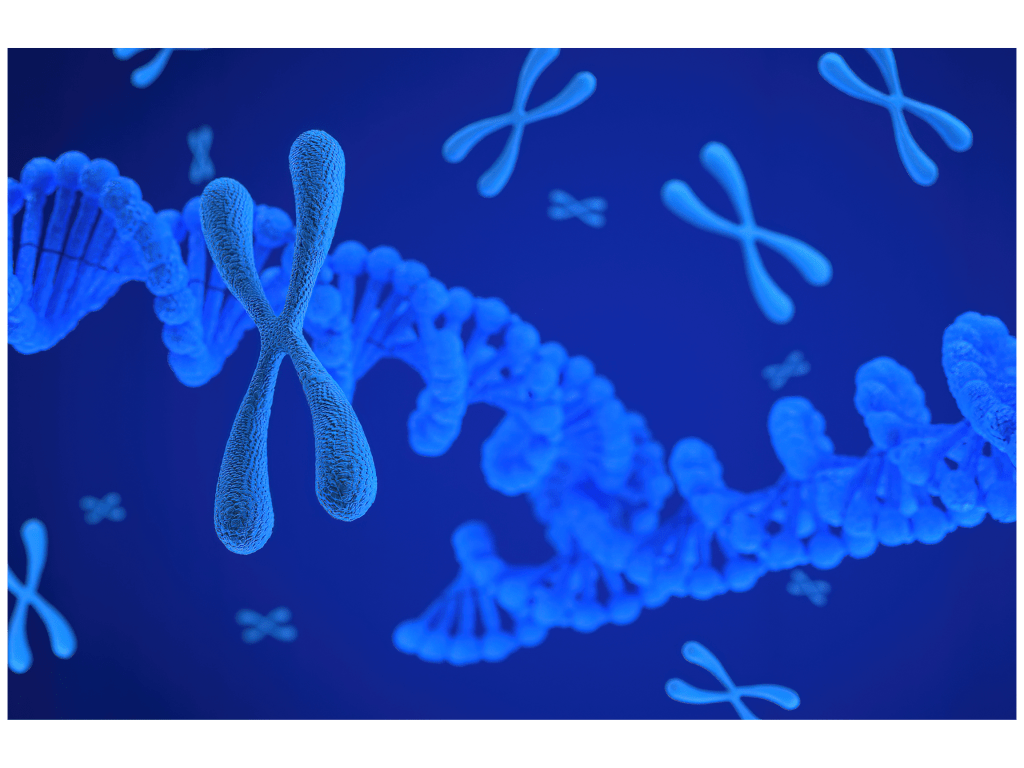 EPIGENÉTICA EN ACCIÓN: DESCUBRIENDO Y COMBATIENDO EL CÁNCER DE FORMAS&nbsp;NUEVAS
