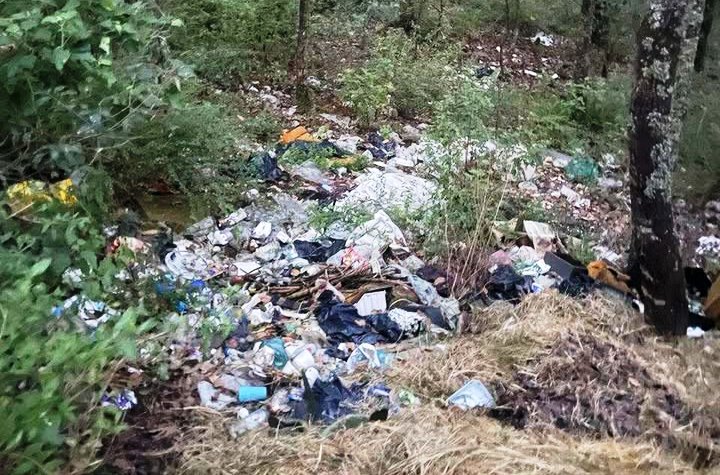 PROVOCA PROBLEMA INTERMUNICIPAL, NEGLIGENCIA DE JUANA DÍAZ PEÑALOZA EN EL&nbsp;ORO