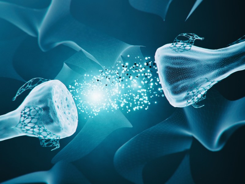 ¿POR QUÉ NOS DUELE EL CUERPO Y QUÉ ESTÁ HACIENDO LA CIENCIA PARA «APAGAR» EL&nbsp;SUFRIMIENTO?