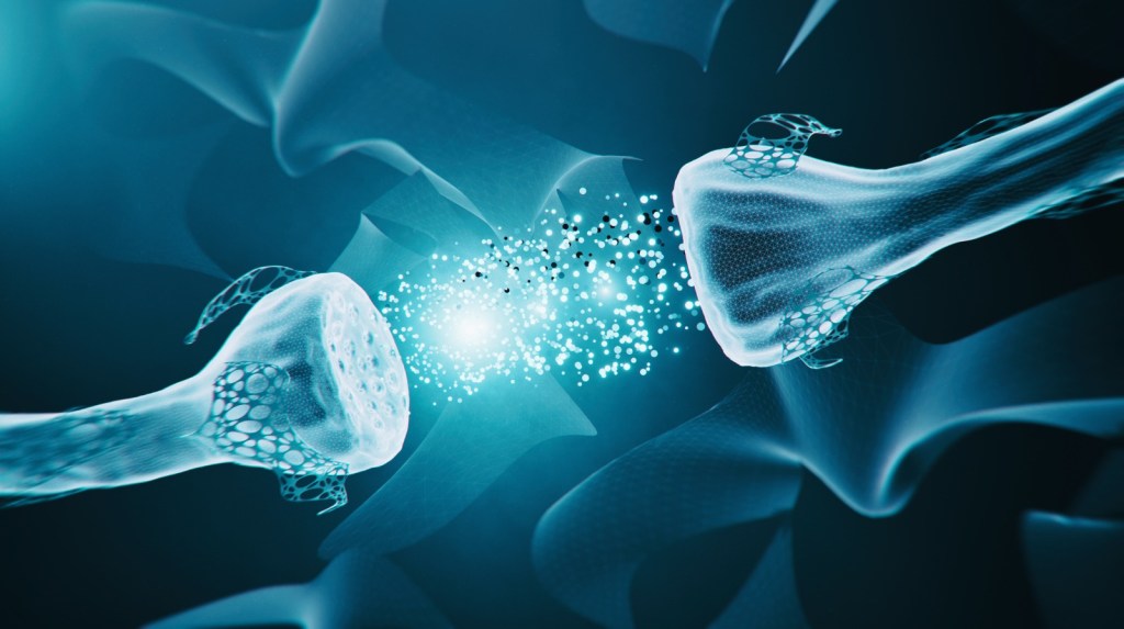 ¿POR QUÉ NOS DUELE EL CUERPO Y QUÉ ESTÁ HACIENDO LA CIENCIA PARA «APAGAR» EL&nbsp;SUFRIMIENTO?