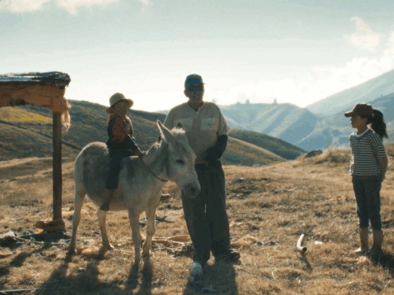 “BUSCANDO UN BURRO”, DE JUAN VICENTE MANRIQUE. LO QUE PASA CUANDO TE RÍES DEL&nbsp;PODER