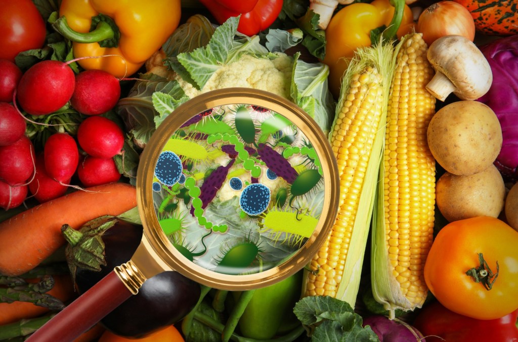 EL ENEMIGO INVISIBLE EN TU REFRIGERADOR: TODO SOBRE LA&nbsp;LISTERIA